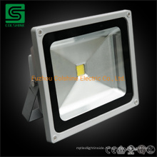 Outdoor Waterproof IP65 30W 50W 100W Landscape LED Flood Light